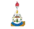 Official seal of Barra de São Francisco