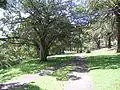 Brennan Park