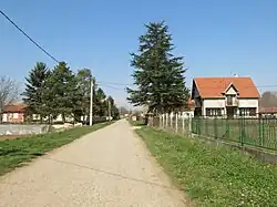 Brgulice, Street