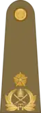 Brigadier General