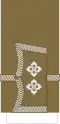 Lieutenant
