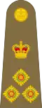 Brigadier (British Army)[28]