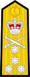 Shoulder board