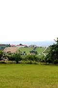 Bujačić - panorama
