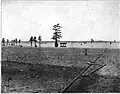 Caddo Lake c. 1910