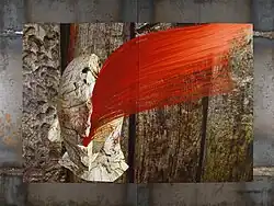 Burl Hair Red, Digital Metal Prints, 2005