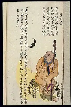 The Neiting point was used to remedy retrograde cold (jueni) in the limbs; aversion to noise; profuse breakout of pox; painful, inflamed throats; unremitting toothache; yawning and somnolence; lack of appetite for food and drink; tinnitus (lit. cricket chirp [chanming] in the ear); ague (nüeji), etc.