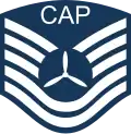Civil Air Patrol technical sergeant insignia