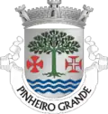 Coat of arms of Pinheiro Grande