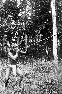 Dayak hunter with a sumpitan