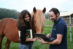 Training session at the Swiss National Stud Farm