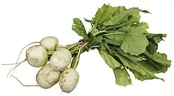 A bundle of Tokyo turnips