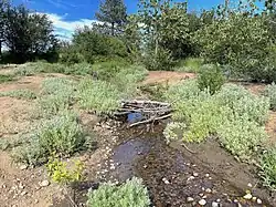Looking upstream from the mouth of Cable Creek