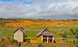 Mahaditra