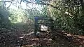 Canopy walk