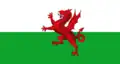 Variant flag of Wales used during the British Antarctic Expedition. (1910–1913)[31]