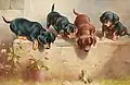 Curious Dachshund Puppies & A Frog. Carl Reichert