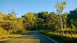 Puerto Rico Highway 143 between Saltillo and Portugués