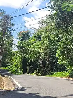 Puerto Rico Highway 647 in Candelaria