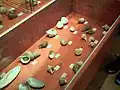 Mediterranean fauna showcase