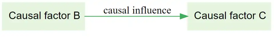 part of a causal map showing how Factor B causally influences Factor C