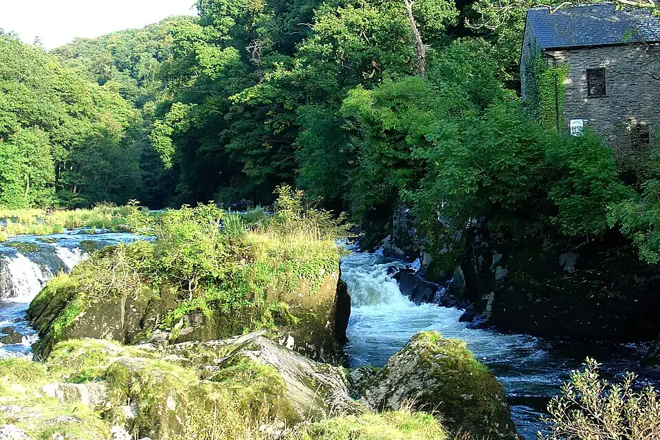 The Cenarth Falls and old mill