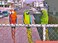 Composite artifact colors (from 640&nbsp;×&nbsp;200 monochrome)