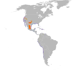 Map showing the distribution of the snowy plover in the Americas