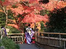 Hotel Garden in autumn