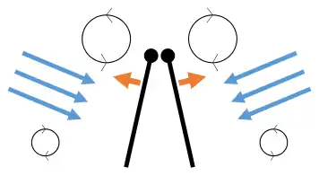 Clap 2: leading edges touch, wing rotates around leading edge, vortices form