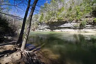 A photo of Clear Creek in early spring in William B. Bankhead National Forest