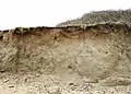 The Naze
