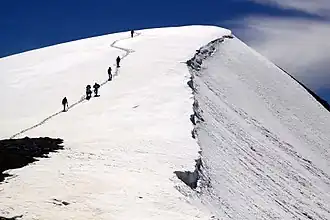 Koritnik