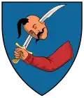 Arms of the Balogh family from Mezőcsávás, Hungary