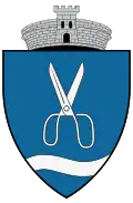Coat of arms of Salcia Tudor