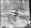 Right handed version of preceding photograph Stero #917[19]