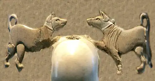 Collar-wearing domestic dogs (Back, 2nd register, around the knob).[36][37]
