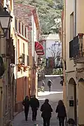 Amadeu Vives Street