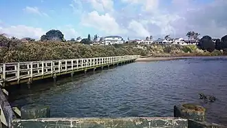 A coastal boardwalk along the Pahurehure Inlet at Conifer Grove