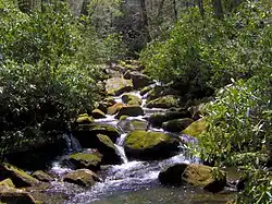 Copperhead Branch, between Albright Grove and Campsite 29