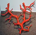 Red coral inspired the Isaia lapel pin and is a symbol of the brand