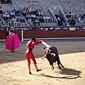 Tercio de banderillas: The banderillero stabs the banderillas into the bull's back.