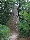 Ördögtorony [Devil-tower] on the Mész-hegy hill, Cserépfalu