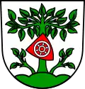 Buchen