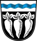 Coat of arms of Pfatter
