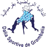 Dalia Sportive de Grombalia logo