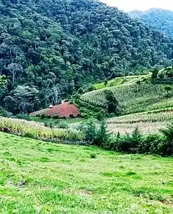 Damota Gale landform