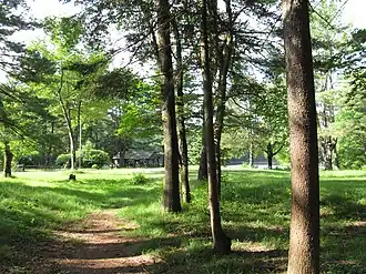Path