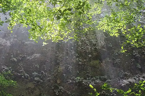 Inside the cavern