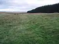 Dere Street at King's Inch.[31] south of Soutra Aisle